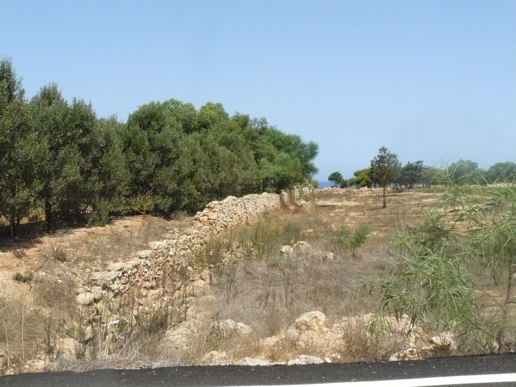 490323.jpg