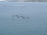 490315.jpg 490315.jpg