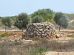 490322.jpg 490322.jpg