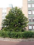 1500572.jpg 1500572.jpg