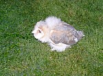 1500719.jpg 1500719.jpg