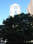 10381.jpg 10381.jpg