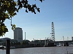 10477.jpg 10477.jpg