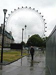 10826.jpg 10826.jpg