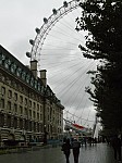 10828.jpg 10828.jpg