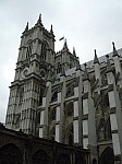 10907.jpg 10907.jpg