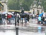 20008.jpg 20008.jpg