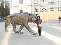 1095.jpg 1095.jpg