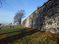 1153.jpg 1153.jpg