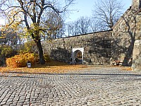 1172.jpg 1172.jpg