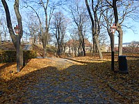 1185.jpg 1185.jpg