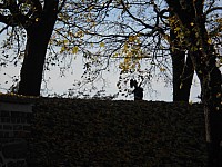 1188.jpg 1188.jpg