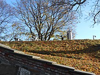 1189.jpg 1189.jpg