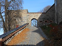 1197.jpg 1197.jpg