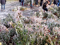 1219-09.jpg 1219-09.jpg