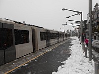 1239.jpg 1239.jpg