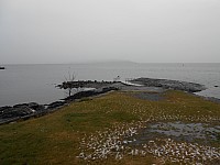 1287.jpg 1287.jpg
