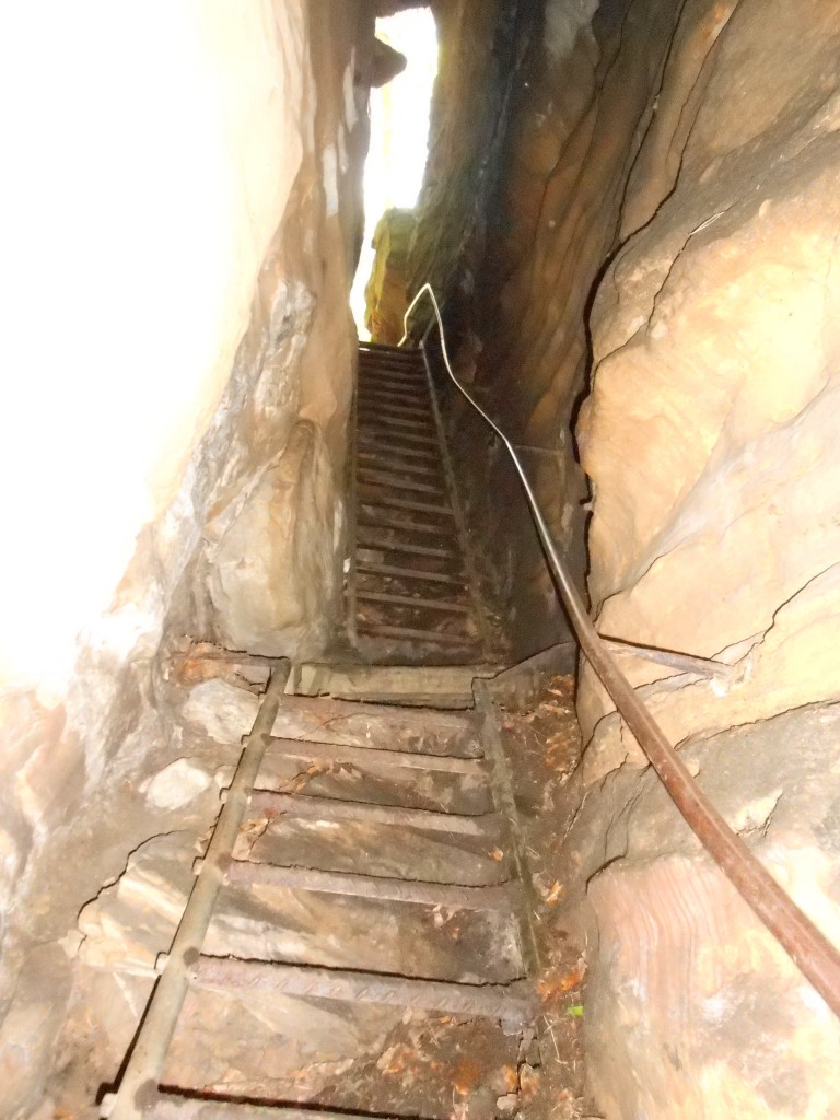 4256.jpg