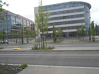 3847.jpg 3847.jpg