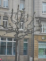3852.jpg 3852.jpg