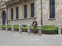 3902.jpg 3902.jpg