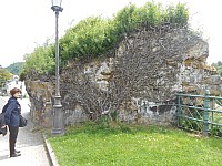 3965.jpg 3965.jpg