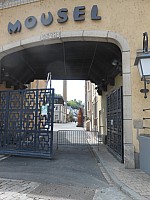 3971.jpg 3971.jpg