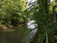 3982.jpg 3982.jpg
