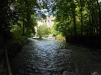 3983.jpg 3983.jpg