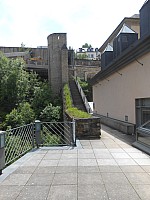 3992.jpg 3992.jpg