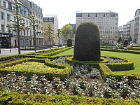 4025.jpg 4025.jpg