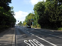 4075.jpg 4075.jpg