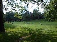 4090.jpg 4090.jpg