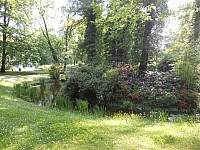 4098.jpg 4098.jpg