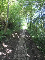 4124.jpg 4124.jpg