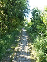 4126.jpg 4126.jpg