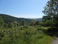 4127.jpg 4127.jpg