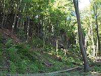 4132.jpg 4132.jpg