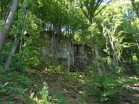 4135.jpg 4135.jpg