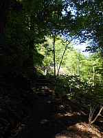 4137.jpg 4137.jpg