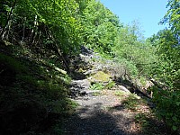 4138.jpg 4138.jpg