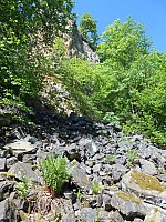 4140.jpg 4140.jpg