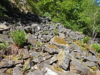 4141.jpg 4141.jpg