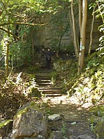 4142.jpg 4142.jpg