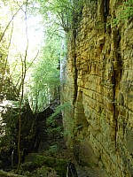 4150.jpg 4150.jpg
