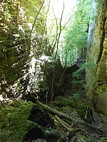 4151.jpg 4151.jpg