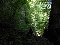 4153.jpg 4153.jpg