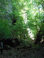 4155.jpg 4155.jpg