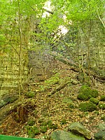 4156.jpg 4156.jpg
