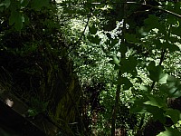 4160.jpg 4160.jpg